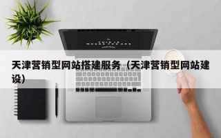 漯河天津营销型网站搭建服务（天津营销型网站建设）